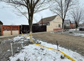 Crima de la Cenei: violența extremă între minori și un eșec colectiv anunțat Crima de la Cenei: violența extremă între minori și un eșec colectiv anunțat