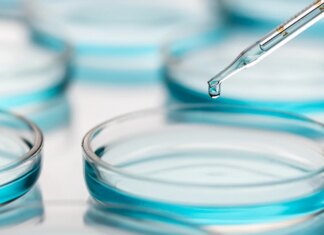 El alarmante virus que afecta a la India: varios casos detectados y una letalidad de hasta el 75% El alarmante virus que afecta a la India: varios casos detectados y una letalidad de hasta el 75%