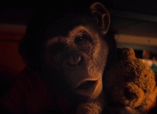 Febrero será un gran mes para fans del terror en el cine con 5 propuestas muy variadas Febrero será un gran mes para fans del terror en el cine con 5 propuestas muy variadas