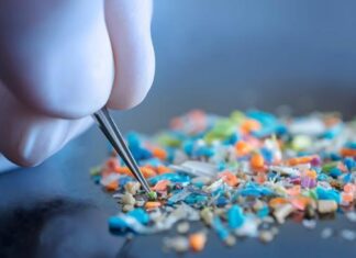 Oamenii de știință avertizează că dovezile privind microplasticele din corpul uman ar putea fi eronate Oamenii de știință avertizează că dovezile privind microplasticele din corpul uman ar putea fi eronate