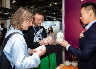 Joobie: Your interactive, trendy AI companion for every moment Joobie: Your interactive, trendy AI companion for every moment