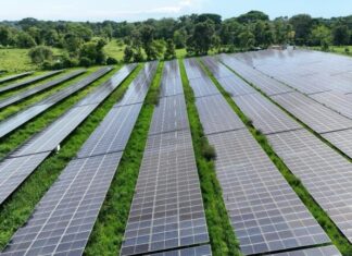 Buyers’ sentiment declines, solar module prices hold steady in Europe in December Buyers’ sentiment declines, solar module prices hold steady in Europe in December