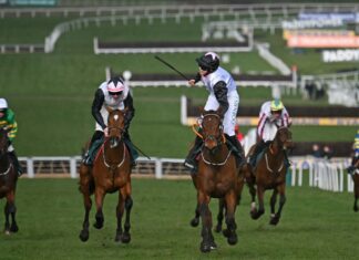 Cheltenham Festival 2026, explained: Dates, race times, course guide and where to watch Cheltenham Festival 2026, explained: Dates, race times, course guide and where to watch