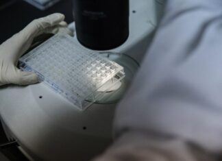 Despair-Inducing Analysis Shows AI Eroding the Reliability of Science Publishing Despair-Inducing Analysis Shows AI Eroding the Reliability of Science Publishing