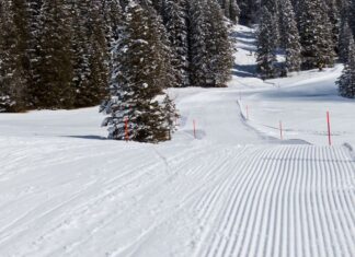 14-jähriger Skifahrer in Oberösterreich tödlich verunglückt 14-jähriger Skifahrer in Oberösterreich tödlich verunglückt