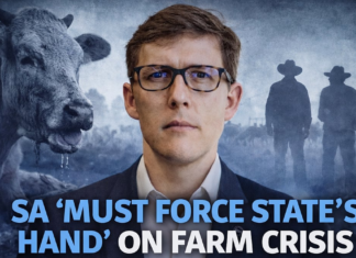 Director’s Cut: Piet Le Roux -and-mouth chaos Director’s Cut: Piet Le Roux -and-mouth chaos