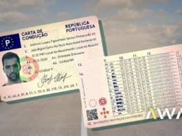 Qualquer pessoa com carta de condução pode ensinar a conduzir: ACP alerta para graves riscos