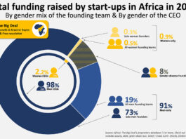 Female CEOs in Africa Receive Lowest Proportion of Funding Since 2019, Report  Reveals