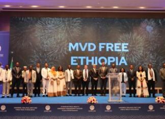 Ethiopia declares end of first-ever Marburg virus disease outbreak Ethiopia declares end of first-ever Marburg virus disease outbreak