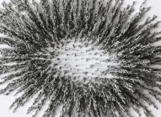 The magnetic secret inside steel finally explained The magnetic secret inside steel finally explained