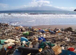 How NASA Is Homing in From Space on Ocean Debris How NASA Is Homing in From Space on Ocean Debris