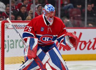 Dobes de retour devant le filet Dobes de retour devant le filet