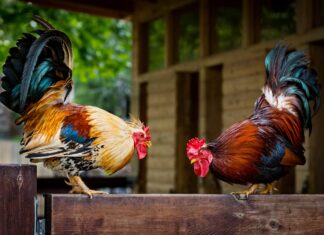 A Revealing New Study Shows How Men and Women View Penis Size Differently A Revealing New Study Shows How Men and Women View Penis Size Differently