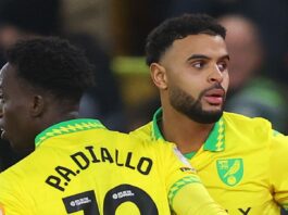 Norwich hit back to beat Championship leaders Coventry