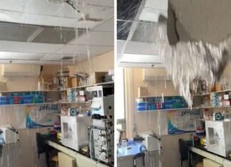 Quebec can’t be ‘on pause’ during CAQ leadership race, Legault tells caucus Quebec can’t be ‘on pause’ during CAQ leadership race, Legault tells caucus