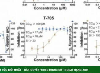 Trung Quốc phát hiện thuốc COVID-19 chống virus Nipah hiệu quả Trung Quốc phát hiện thuốc COVID-19 chống virus Nipah hiệu quả