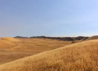 California’s $6B Sites Reservoir picks Barnard for CMAR contract California’s $6B Sites Reservoir picks Barnard for CMAR contract