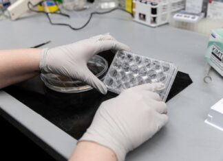 Trump Policies at Odds With Emerging Understanding of Covid’s Long-Term Harm Trump Policies at Odds With Emerging Understanding of Covid’s Long-Term Harm