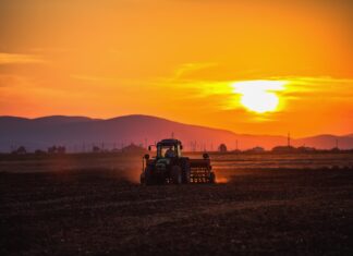 Nestlé ramps up regenerative agriculture with global partnerships Nestlé ramps up regenerative agriculture with global partnerships