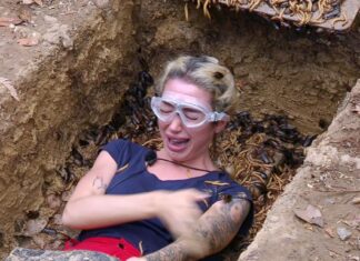 Das steckt hinter der Panik von Ariel im Dschungelcamp Das steckt hinter der Panik von Ariel im Dschungelcamp