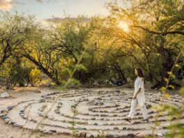 Best of the World 2026: Best wellness destinations