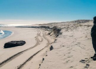 Winter storms uncover 19th-century shipwreck on New Jersey beach Winter storms uncover 19th-century shipwreck on New Jersey beach