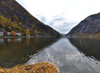 O companie minieră din Norvegia a descoperit cel mai mare zăcământ de pământuri rare din Europa O companie minieră din Norvegia a descoperit cel mai mare zăcământ de pământuri rare din Europa