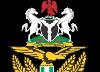 NAF Expresses Concern, Probes Alleged Civilian Casualties in Niger Airstrikes NAF Expresses Concern, Probes Alleged Civilian Casualties in Niger Airstrikes