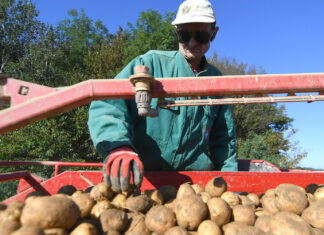 HPK: Kod voća i povrća mora biti napisana zemlja HPK: Kod voća i povrća mora biti napisana zemlja