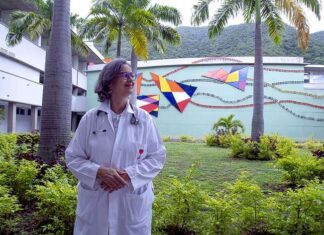 Designan a Isabel Iturria vicepresidenta sectorial de Ciencia, Tecnología, Ecosocialismo y Salud Designan a Isabel Iturria vicepresidenta sectorial de Ciencia, Tecnología, Ecosocialismo y Salud