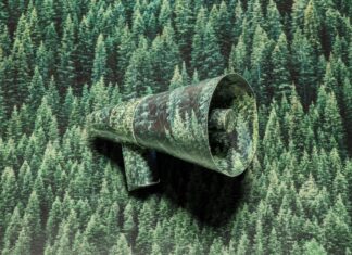 The Growing Appeal of a Silent Retreat for Women The Growing Appeal of a Silent Retreat for Women