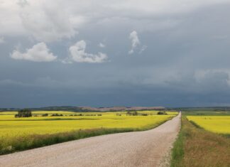 Saskatoon to complete winter road maintenance performance review Saskatoon to complete winter road maintenance performance review