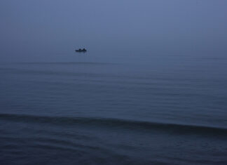 We say ‘Never again’ as we remember the Holocaust. But what do we do to make it true? We say ‘Never again’ as we remember the Holocaust. But what do we do to make it true?