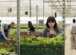 Escassez de mão de obra e rotatividade pressionam produtores rurais Escassez de mão de obra e rotatividade pressionam produtores rurais