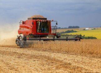 Preços da soja têm espaço para mais baixas no Brasil até que passe o pico da colheita Preços da soja têm espaço para mais baixas no Brasil até que passe o pico da colheita