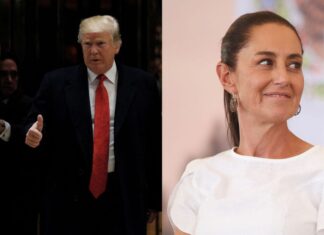 ‘Mexico Has Highly Intelligent Leader’: Trump, Sheinbaum Discuss Border, Drugs And Trade ‘Mexico Has Highly Intelligent Leader’: Trump, Sheinbaum Discuss Border, Drugs And Trade