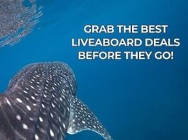 Explorer Ventures Year of Savings 2026 Promotion Ending Soon