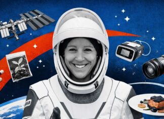 Graines, capteurs, plats français : le contenu surprenant des bagages de Sophie Adenot pour la Station spatiale Graines, capteurs, plats français : le contenu surprenant des bagages de Sophie Adenot pour la Station spatiale