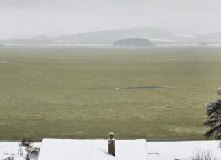 Toxic algae turned a frozen lake green Toxic algae turned a frozen lake green