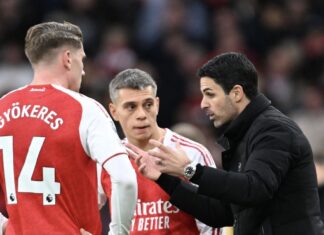 Little bugs Little bugs