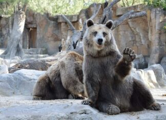 These Popular Altcoins Lost the Most in the Last 24 Hours: What You Need to Know These Popular Altcoins Lost the Most in the Last 24 Hours: What You Need to Know