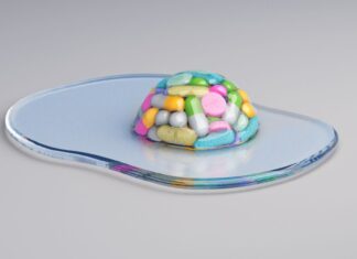 How the sometimes-weird world of lifespan extension is gaining influence How the sometimes-weird world of lifespan extension is gaining influence