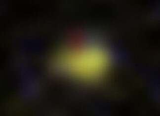 Webb Discovers Most Distant Galaxy Yet: MoM-z14 Webb Discovers Most Distant Galaxy Yet: MoM-z14