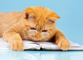 The 25 M&A Books Every CEO, Founder, And Business Owner Should Read The 25 M&A Books Every CEO, Founder, And Business Owner Should Read