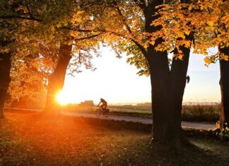 Přibývá dovolených mimo prázdniny. Zároveň však mizí důvod, proč je lidé volí Přibývá dovolených mimo prázdniny. Zároveň však mizí důvod, proč je lidé volí