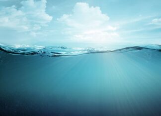 Un chercheur français a découvert les raisons de la surchauffe de l’Atlantique Un chercheur français a découvert les raisons de la surchauffe de l’Atlantique