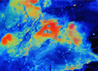 Once Thought To Support Neurons, Astrocytes Turn Out To Be in Charge Once Thought To Support Neurons, Astrocytes Turn Out To Be in Charge