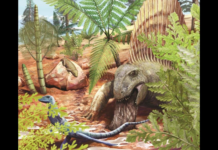 Oldest fossilized dinosaur vomit discovered in Germany Oldest fossilized dinosaur vomit discovered in Germany