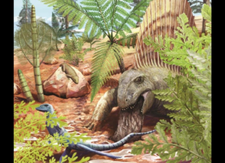 Oldest fossilized dinosaur vomit discovered in Germany Oldest fossilized dinosaur vomit discovered in Germany