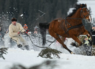 The extreme sport of skijoring, where horses pull skiers at 40 mph The extreme sport of skijoring, where horses pull skiers at 40 mph